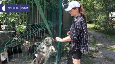 Притулок для тварин у Сумах Притулок для тварин у Сумах
