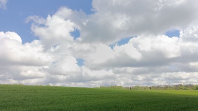 Поле в одному з населених пунктів Хмельниччини
