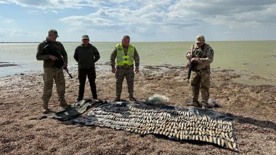 8 млн грн, риба, браконьєр, кефаль