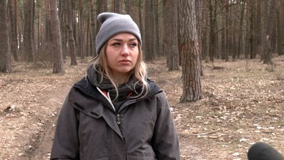 Близько 100 спиляних дерев виявили у Чернігові: що відомо