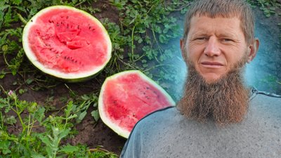 Херсонщина, кавуни, поля, фермерство, аграрії, Дмитро Ільяш