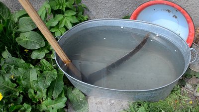 Зв’язкова УПА з Тернопільщини розповіла свою життєву історію Зв’язкова УПА з Тернопільщини розповіла свою життєву історію