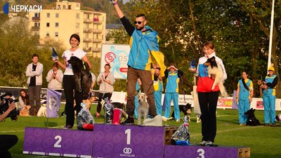 Фокстер`єрка Бада готується до змагань