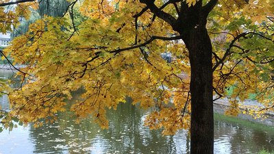 Осінній Львів