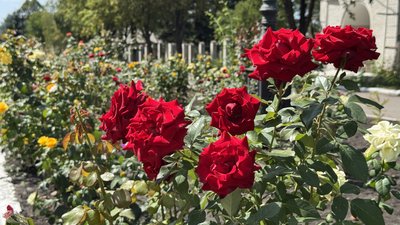 Транзитний центр для евакуйованих