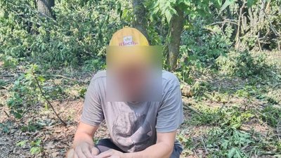 На Сумщині незаконно спиляли 50 дубів На Сумщині незаконно спиляли 50 дубів