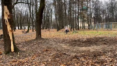 Пошкоджені 11 приватних будинків і 5 адмінбудівель: що розповідають місцеві про обстріл центру Семенівки на Чернігівщині Пошкоджені 11 приватних будинків і 5 адмінбудівель: що розповідають місцеві про обстріл центру Семенівки на Чернігівщині