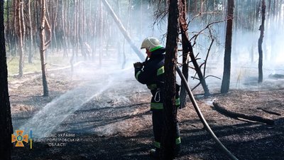 На Дніпропетровщині загасили полум`я, що ширилося на лісовий масив