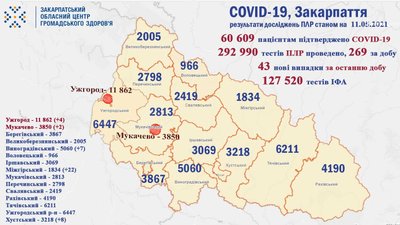 На Закарпатті за добу підтвердили 32 випадки COVID-19 На Закарпатті за добу підтвердили 32 випадки COVID-19
