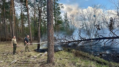 На Черкащині через російські обстріли горів ліс