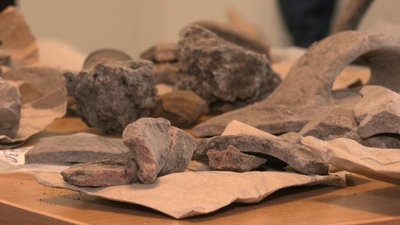 Знайшли посуд VII століття нашої ери: до Дня археолога дніпровські науковці провели розкопки Знайшли посуд VII століття нашої ери: до Дня археолога дніпровські науковці провели розкопки