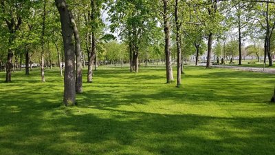 У Новомиргороді Кіровоградської області міський парк обладнали WiFi