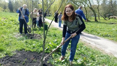 садіння дерев садіння дерев