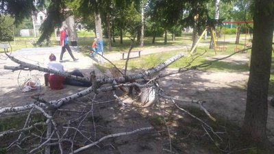 У Полтаві на чоловіка впало дерево: стали відомі подробиці події