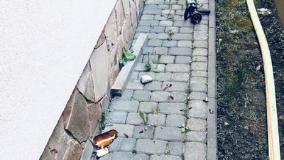 На Прикарпатті затримали чоловіка, який підпалив будинок сусіда