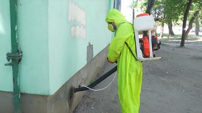 У Миколаєві організували позапланову дезінсекцію У Миколаєві організували позапланову дезінсекцію