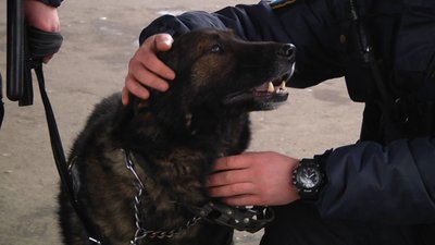 У Житомирі військова частина Нацгвардії перейшла на посилений режим служби У Житомирі військова частина Нацгвардії перейшла на посилений режим служби
