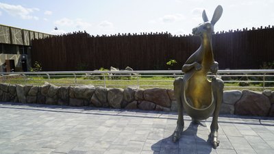 У Харкові після реконструкції частково відкрили зоопарк: фоторепортаж У Харкові після реконструкції частково відкрили зоопарк: фоторепортаж