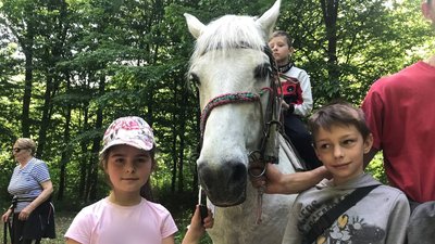 На Тернопільщину переїхала школа верхової їзди з Луганщини На Тернопільщину переїхала школа верхової їзди з Луганщини