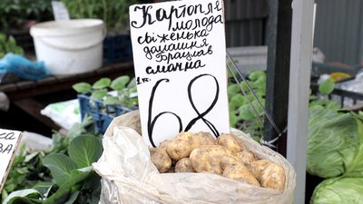 Сезон молодої картоплі: які ціни у Вінниці