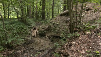У лісі поблизу Франківська розкопують бункер часів Першої світової війни