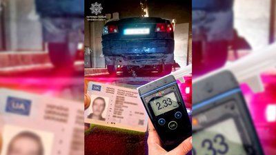 П'яний водій на Чернігівщині: рівень алкоголю в крові перевищував норму у 12 разів