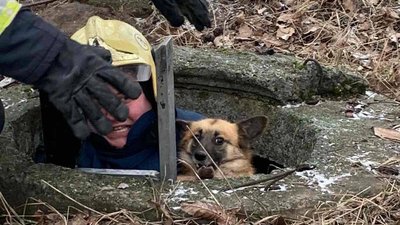 Рятувальники звільнили собаку, який впав у глибокий колодязь на Київщині