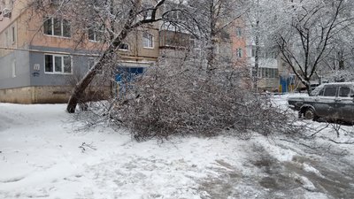 У Кропивницькому прибирали повалені дерева У Кропивницькому прибирали повалені дерева