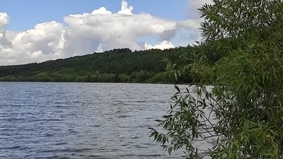 Берег Збруча