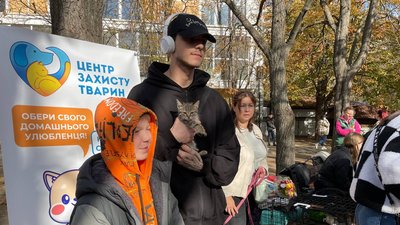 Тваринки Тваринки