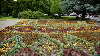 В Ужгороді висадили квіти у формі герба міста, вишиванки та прапора України В Ужгороді висадили квіти у формі герба міста, вишиванки та прапора України
