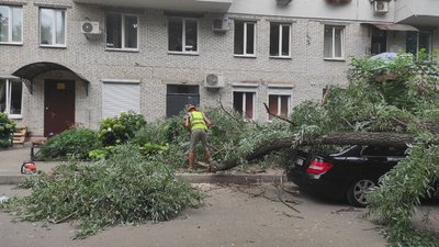 На проспекті Гагаріна у Харкові дерево впало на автомобіль і перекрило дорогу На проспекті Гагаріна у Харкові дерево впало на автомобіль і перекрило дорогу