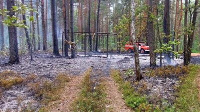 В Луцькому районі через підпал горів ліс