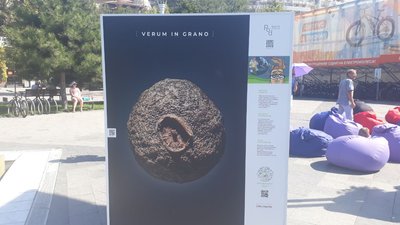 Виставка Одеса Виставка Одеса
