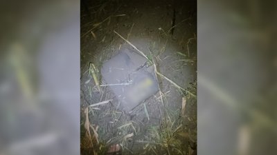 Два "шахеди" знищили прикордонники на Чернігівщині