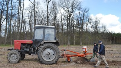У держлісгоспах Черкащини вже висадили 400 гектарів лісів У держлісгоспах Черкащини вже висадили 400 гектарів лісів