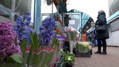 У Чернігові почали демонтаж квіткових яток біля «Дитячого світу» У Чернігові почали демонтаж квіткових яток біля «Дитячого світу»