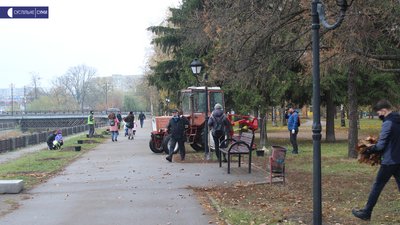 У Сумах представники національних громад посадили декоративні дерева У Сумах представники національних громад посадили декоративні дерева