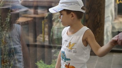У Харкові після реконструкції частково відкрили зоопарк: фоторепортаж У Харкові після реконструкції частково відкрили зоопарк: фоторепортаж