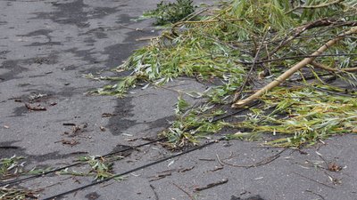Наслідки негоди на Вінниччині: знеструмлено 22 населених пункти Наслідки негоди на Вінниччині: знеструмлено 22 населених пункти