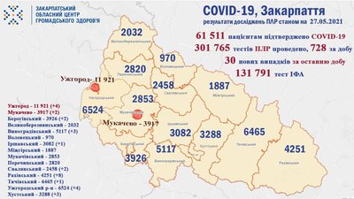 На Закарпатті за добу підтвердили 30 нових випадків COVID-19