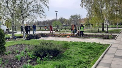 Петунії, каланхое, декоративний аспарагус. У Кропивницькому на міські клумби почали висаджувати квіти Петунії, каланхое, декоративний аспарагус. У Кропивницькому на міські клумби почали висаджувати квіти
