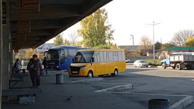 Внутрішньообласні перевезення за сертифікатами: на Полтавщині можуть запровадити нові обмеження