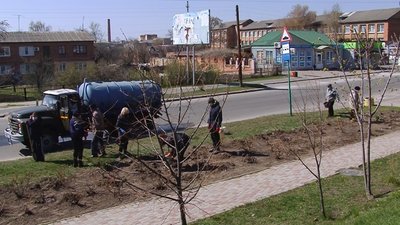 1000 троянд висадили у селищі на Полтавщині 1000 троянд висадили у селищі на Полтавщині