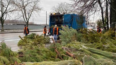 Одеські комунальники 1 січня вивезли понад п'ять тисяч покинутих ялинок Одеські комунальники 1 січня вивезли понад п'ять тисяч покинутих ялинок