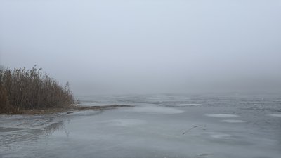 погода, туман