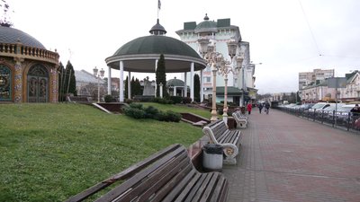 У центрі Рівного розквітли маргаритки. Науковець пояснив причини і наслідки