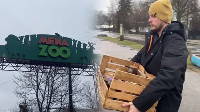 «Варення тепер вистачить на рік вперед», – як живе Менський зоопарк під час війни