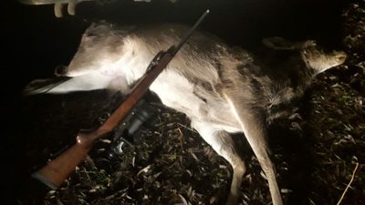 Впіймали на гарячому: на Черкащині затримали браконьєра, який вбив самку оленя Впіймали на гарячому: на Черкащині затримали браконьєра, який вбив самку оленя