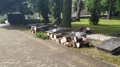 У районі на Волині прибирають наслідки негоди У районі на Волині прибирають наслідки негоди